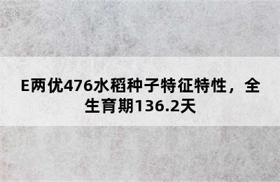 E两优476水稻种子特征特性，全生育期136.2天