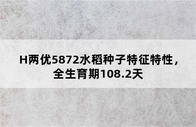 H两优5872水稻种子特征特性，全生育期108.2天