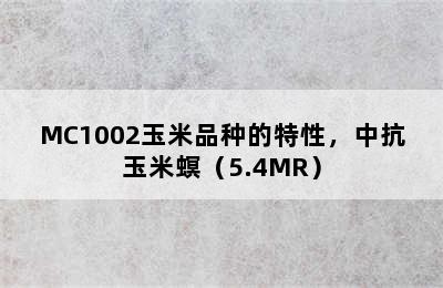 MC1002玉米品种的特性，中抗玉米螟（5.4MR）