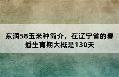 东润58玉米种简介，在辽宁省的春播生育期大概是130天