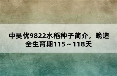 中昊优9822水稻种子简介，晚造全生育期115～118天