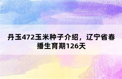 丹玉472玉米种子介绍，辽宁省春播生育期126天