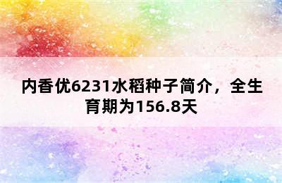 内香优6231水稻种子简介，全生育期为156.8天