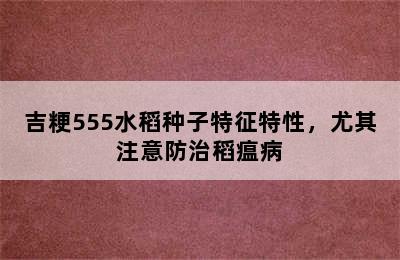 吉粳555水稻种子特征特性，尤其注意防治稻瘟病