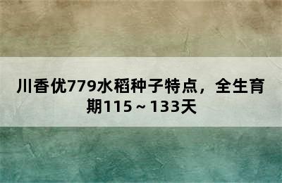 川香优779水稻种子特点，全生育期115～133天