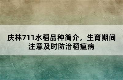 庆林711水稻品种简介，生育期间注意及时防治稻瘟病