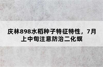 庆林898水稻种子特征特性，7月上中旬注意防治二化螟