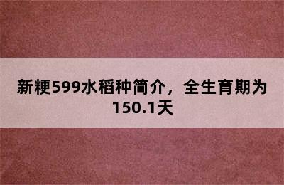 新粳599水稻种简介，全生育期为150.1天