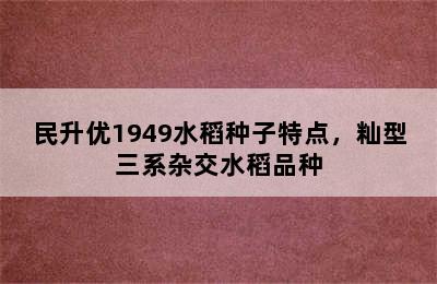 民升优1949水稻种子特点，籼型三系杂交水稻品种