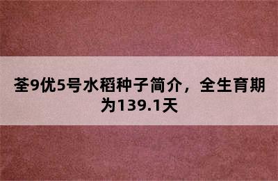 荃9优5号水稻种子简介，全生育期为139.1天