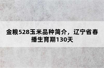金粮528玉米品种简介，辽宁省春播生育期130天