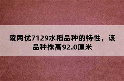 陵两优7129水稻品种的特性，该品种株高92.0厘米